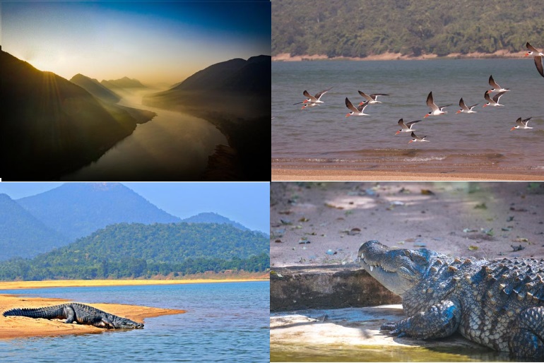 Odisha translates PM Modi’s vision on eco-tourism into action for growth Odisha translates PM Modi’s vision on eco-tourism into action for growth