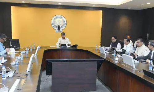 CM Reviews Swarnandhra Vision