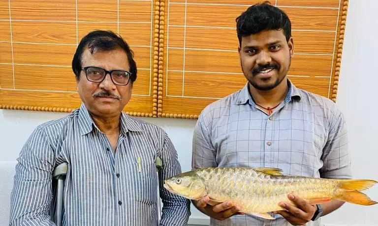 Central University researchers make first record of two Mahseer fish species in South Odisha
