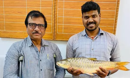 Central University researchers make first record of two Mahseer fish species in South Odisha