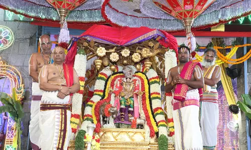 Goddess Padmavathi takes celestial ride on Kalpavriksha Vahanam