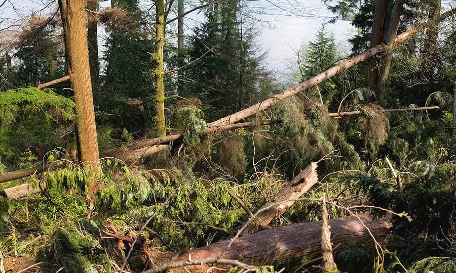 Fear Grips Villages Around Medaram After Natural Disasters