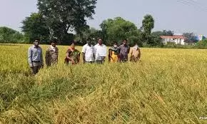 AEOs hold dharna; seek parity in promotions