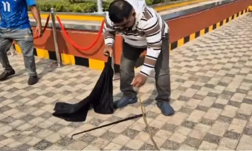 Cobra rescued from judicial complex before inauguration by Prez