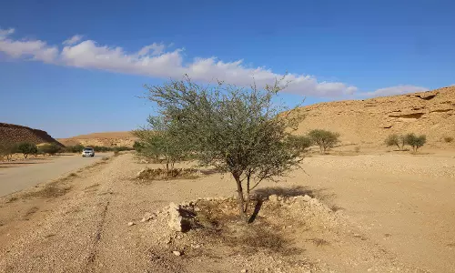 2024 set to be warmest year on record: European climate agency