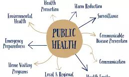 RBIs Handbook: Telangana Health Indicators Improve, Anaemia Remains a Concern