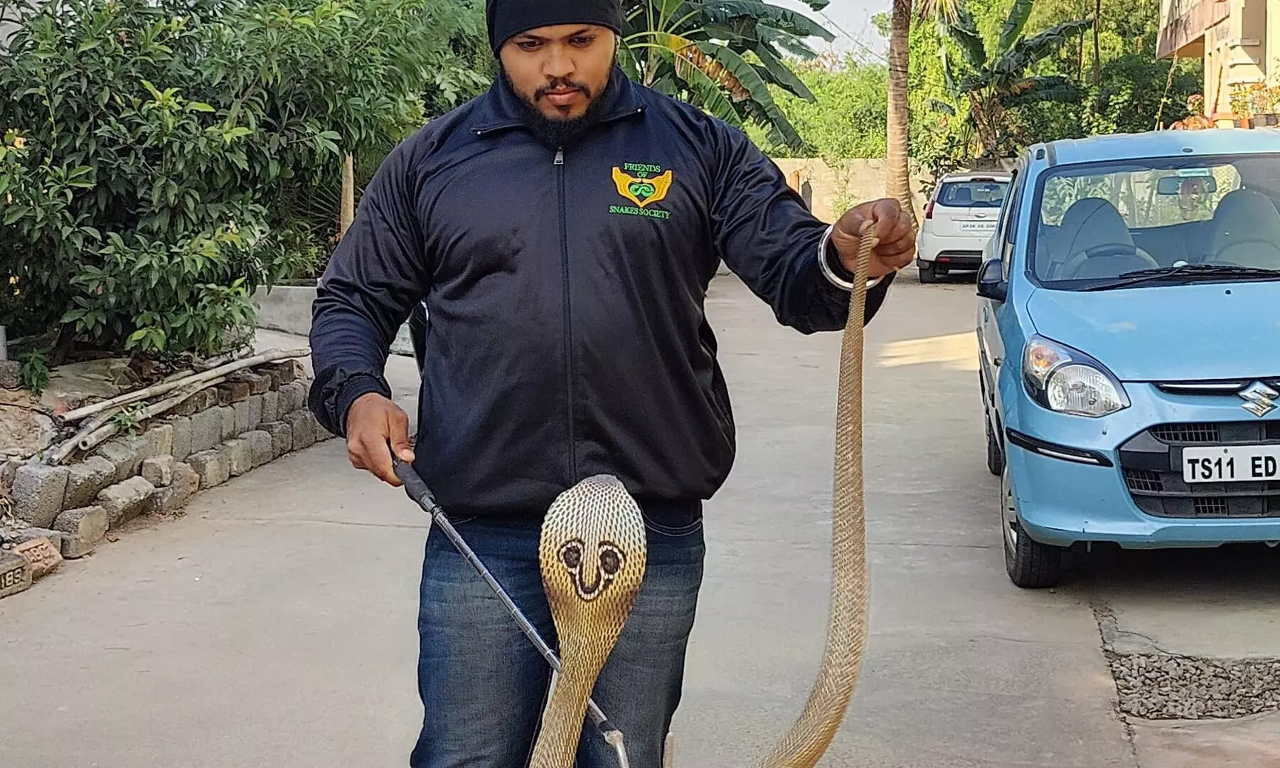 Snake Rescues Surge in Hyderabad This December Snake Rescues Surge in Hyderabad This December