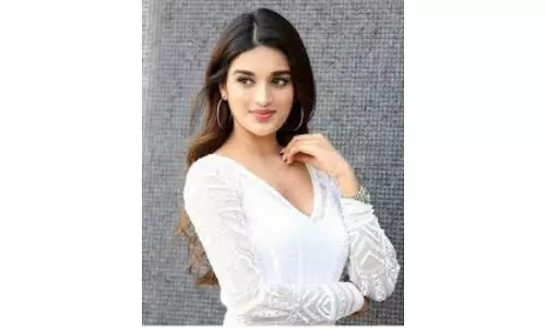 Pawan Kalyan is a great human being, says Nidhi Agarwal