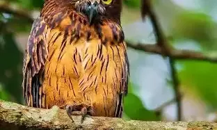 R. Suresh | Papa says I must make him proud…