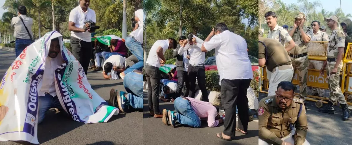 Man dies in bee attack