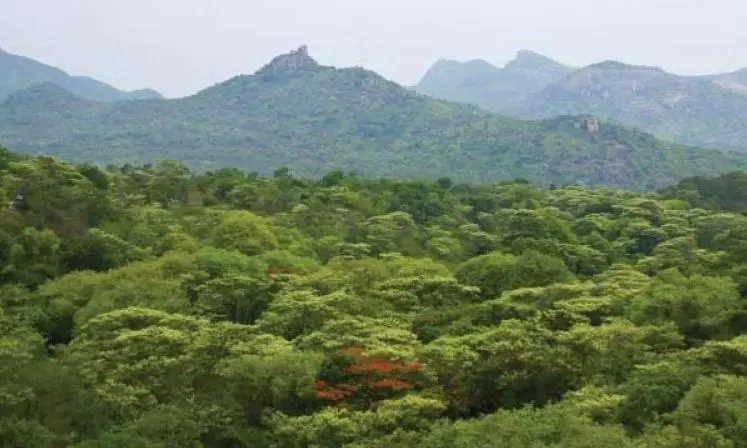 Tribal Body Protests Seeking Revocation of Pattas Given to Non-tribals