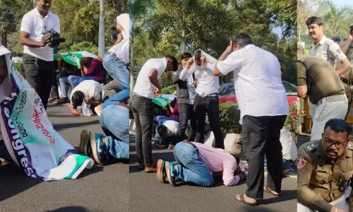 Man dies in bee attack