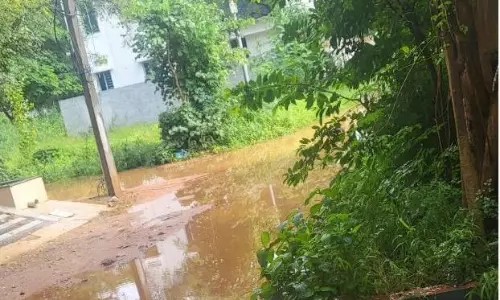 Residents of Godavari Gardens face deluge of problems