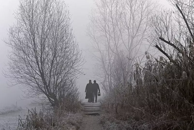 Cold wave intensifies in Kashmir; Srinagar hits -5.3°C Cold wave intensifies in Kashmir; Srinagar hits -5.3°C