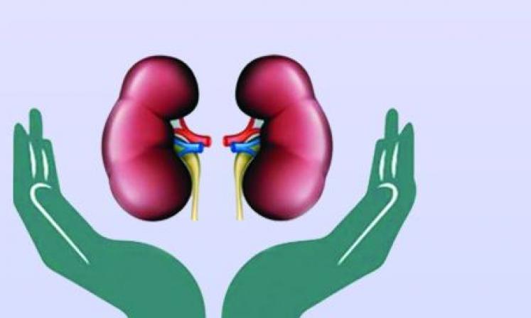 Kidney Issues on the Rise in Gen Z Kidney Issues on the Rise in Gen Z