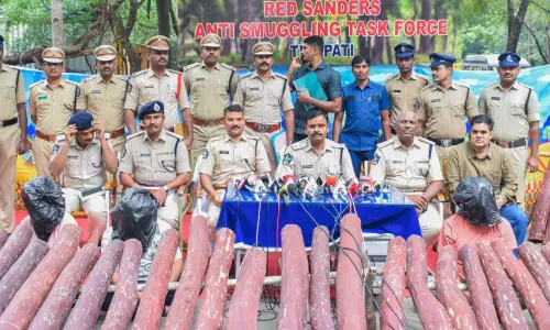 AP task force busts red sanders smuggling network in Gujarat