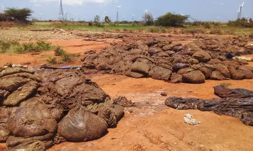 BJP’s Annamalai Accuses Kerala of Dumping Waste in TN Border Districts