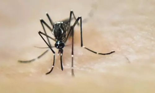 Suspected zika virus puts officials on toes in Nellore