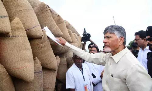 CM Naidu Stresses Accuracy in Rice Procurement Process