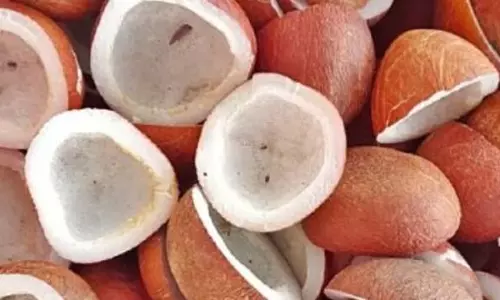 Centre Hikes MSP for Copra Upto Rs 12,100 per quintal