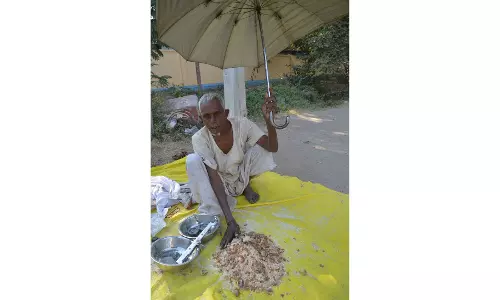 Ancient Adivasi remedy Thapsi gum still in demand