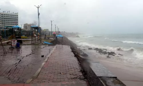Rains destroy paddy over 400 hectares in N. Andhra; depression moves northeast Rains destroy paddy over 400 hectares in N. Andhra; depression moves northeast