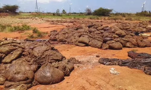 Kerala Sends Team to Retrieve Illegally Dumped Medical Waste in Tamil Nadu