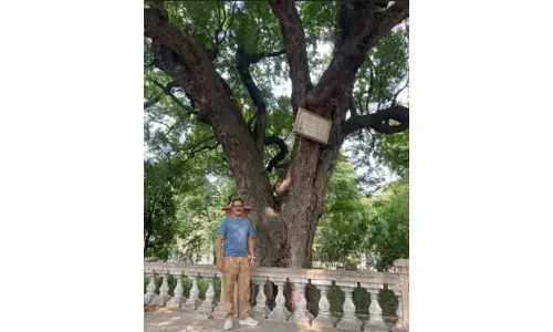 9 historic trees in Telangana mapped for declaring them as heritage site
