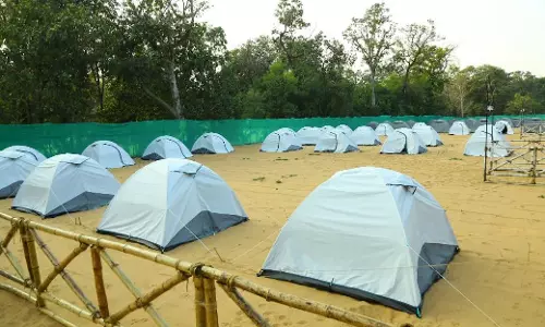 Black Berry Island a perfect getaway for nature lovers