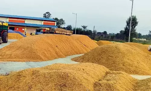 Rs 500 paddy bonus lures Maharashtra, Karnataka suppliers