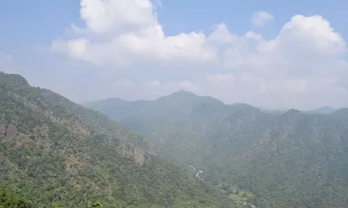 Araku Utsav from Jan 31