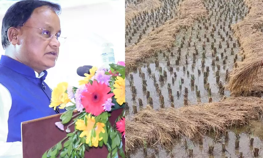 Odisha CM Mohan Majhi orders crop damage report by Dec 30 Odisha CM Mohan Majhi orders crop damage report by Dec 30