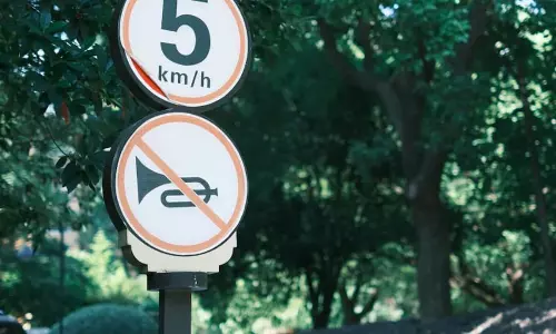 Krishna Shastri Devulapalli | Honk, but I’m not going any faster