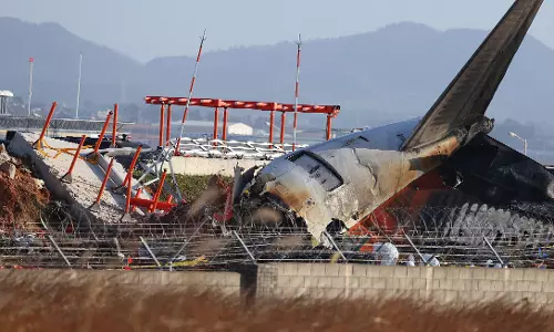 S. Korea orders airline safety probe after worst domestic crash kills 179
