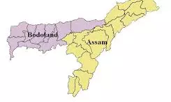 Assam tribal council prepares community-based vision document for Bodoland development