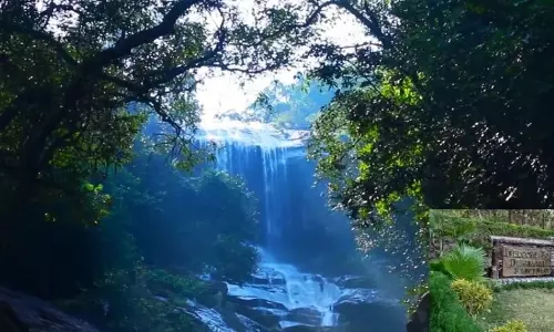 Odisha to welcome three more Royal Bengal Tigers to Debrigarh Wildlife Sanctuary