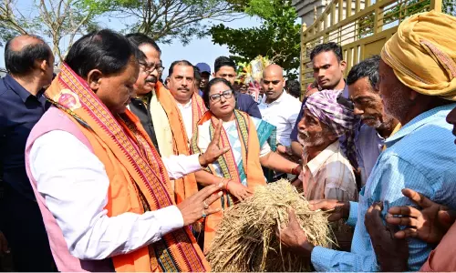 Odisha declares untimely rain as state calamity, pledges support to affected farmers