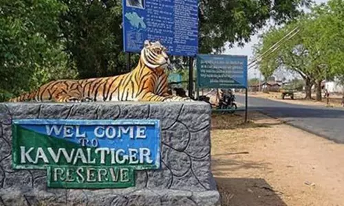 Kawal reserve gates to be shut from 9 pm to 6 am