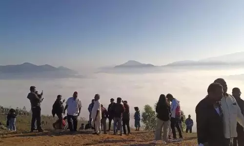 Tourists Flock to Agency as Mercury Continues to Drop Tourists Flock to Agency as Mercury Continues to Drop