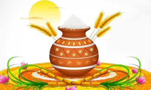 Shandy market abuzz with prize cocks