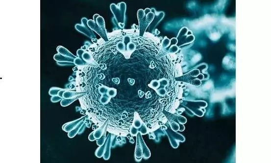 CIDS asks people not to panic over HMPV outbreak CIDS asks people not to panic over HMPV outbreak