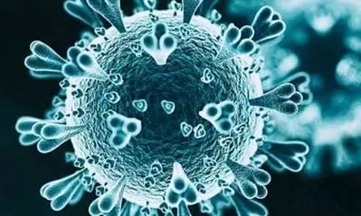 9-Month-Old Tests Positive for HMPV in Gujarat; Cases Reach 4