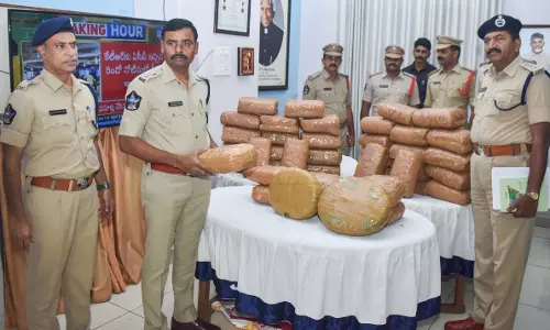 Tirupati police seize ganja worth Rs25.5 lakh