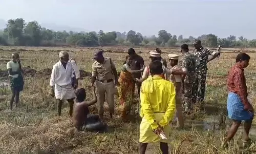 Female teacher attempts suicide against project