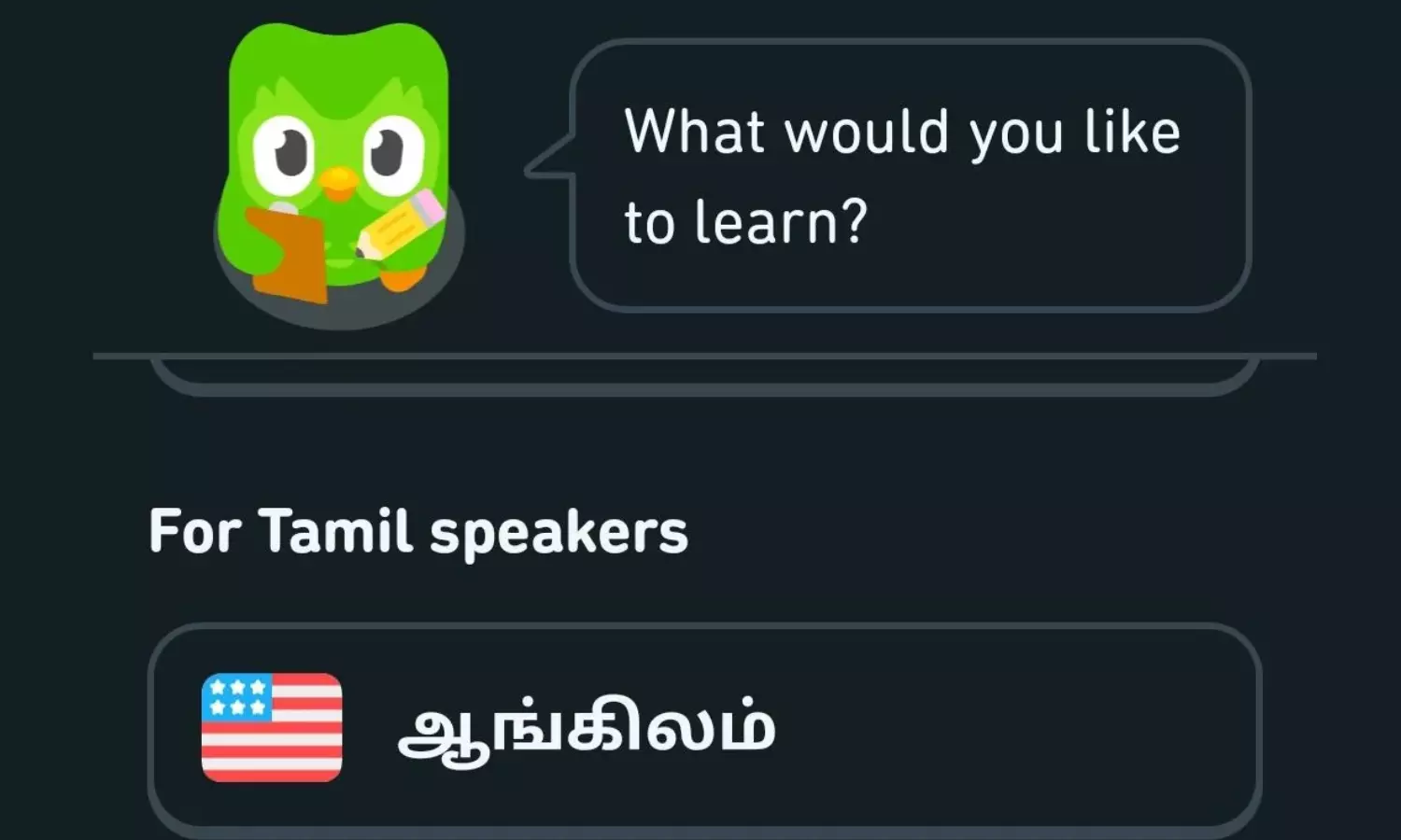 Duolingo Unveils ‘Learn English from Tamil’ Course to Empower Tamil Nadu Learners Duolingo Unveils ‘Learn English from Tamil’ Course to Empower Tamil Nadu Learners