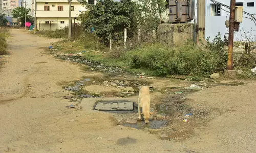 Lakshmiguda housing colony is a picture of utter neglect