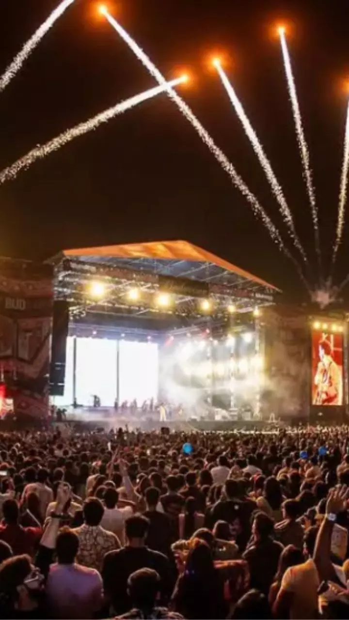 Top 10 Must-Attend Music Festivals in India for 2025