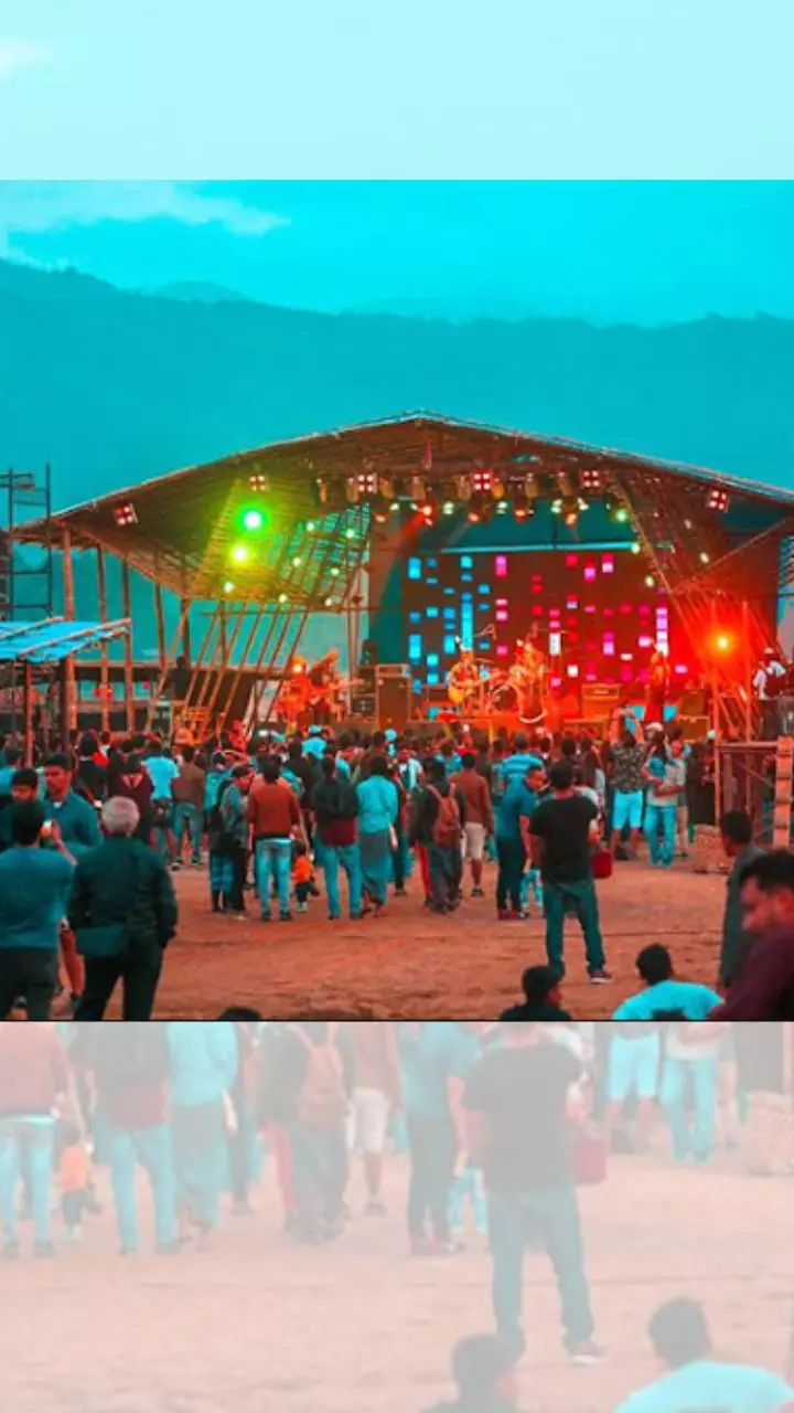 Top 10 Must-Attend Music Festivals in India for 2025