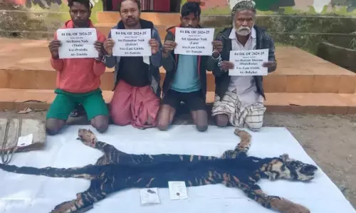 Rare Black Tiger Poached in Odisha; Four Arrested for Selling Skin