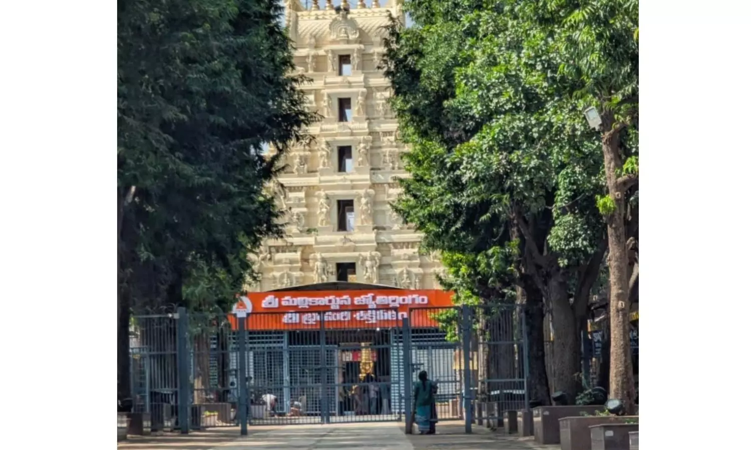 Free Laddus Distributed At Srisailam